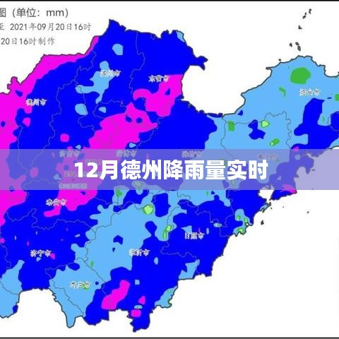 德州12月降雨量实况监测