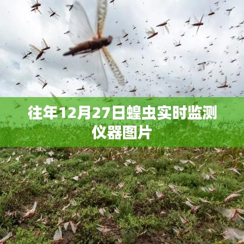 蝗虫实时监测仪器图片，往年12月27日观察记录