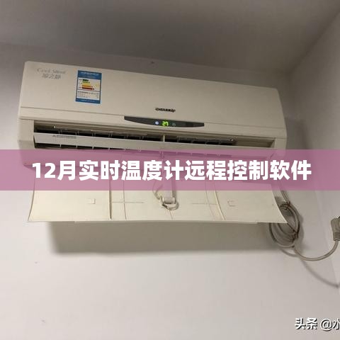 成功案例 第243页