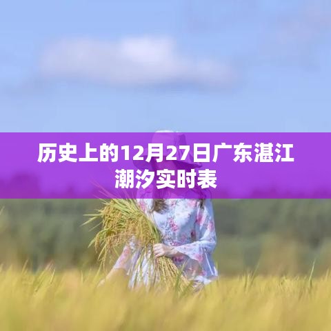 湛江潮汐实时表，历史日期12月27日潮汐信息