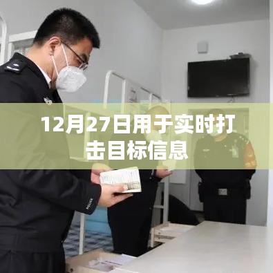 成功案例 第242页