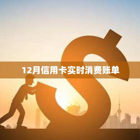 信用卡实时消费账单查询指南