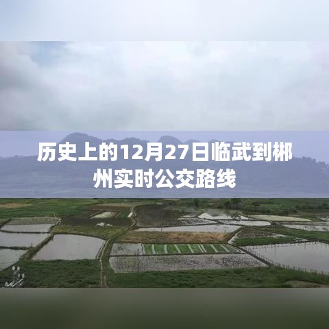 种植技术 第239页