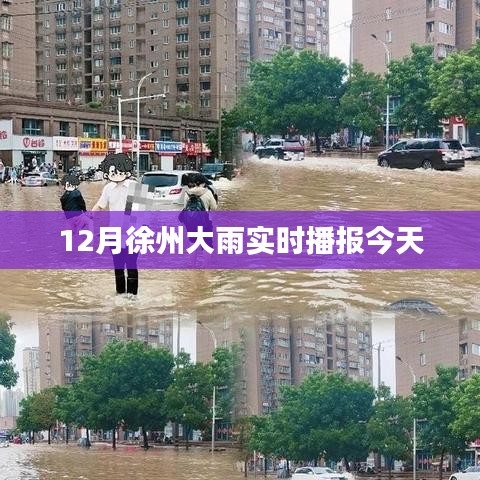 徐州今日雨情实时播报