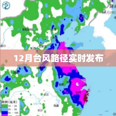 台风路径实时更新查询