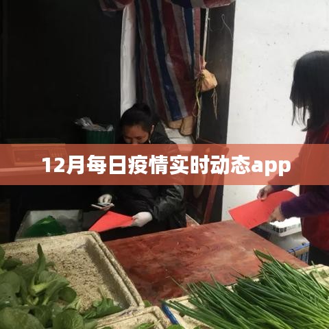 12月疫情实时动态追踪APP数据更新