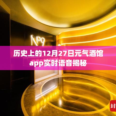 历史上的元气酒馆app实时语音揭秘，揭秘背后的故事