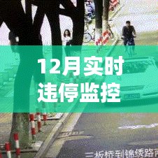 违停监控记录查询攻略，12月实时查询方法