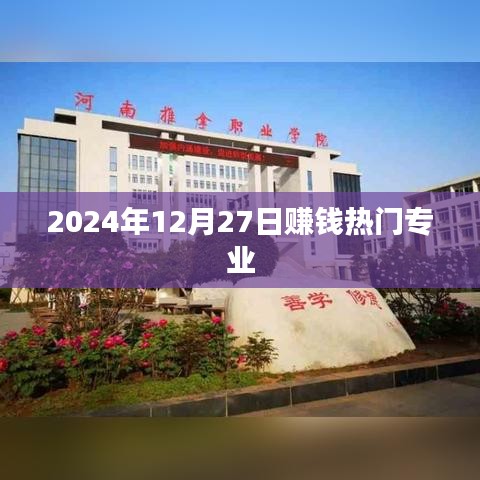 揭秘未来热门赚钱专业，2024年12月27日行业趋势解析