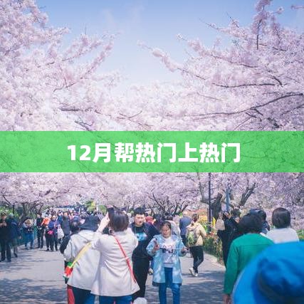 12月助力热门内容登顶