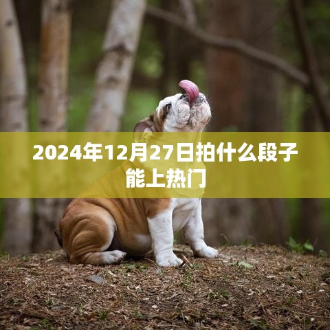 热门潜力揭秘，如何拍摄上热门短视频
