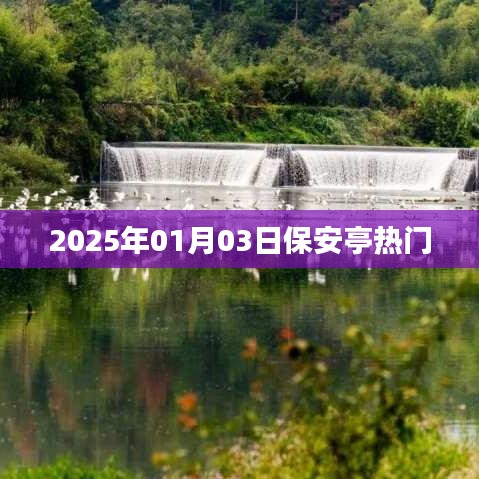 撺哄鸟乱