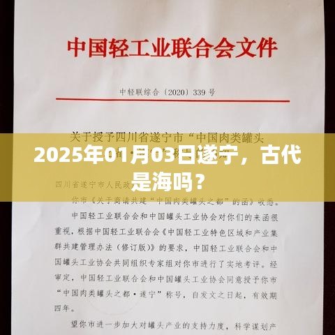 倦鸟思归 第3页