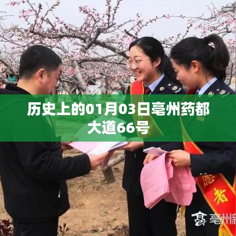 亳州药都大道66号历史背后的故事，希望符合您的要求，您也可酌情调整。