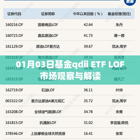 基金qdii ETF LOF市场观察与解读（最新分析）