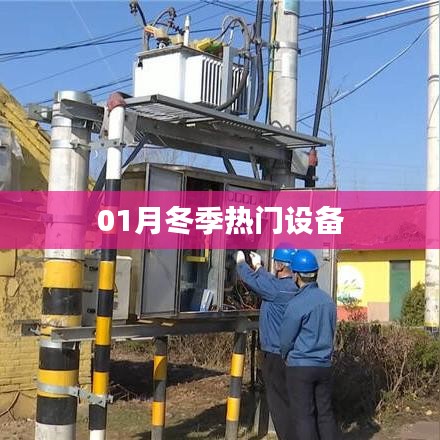 笼鸟槛猿 第3页