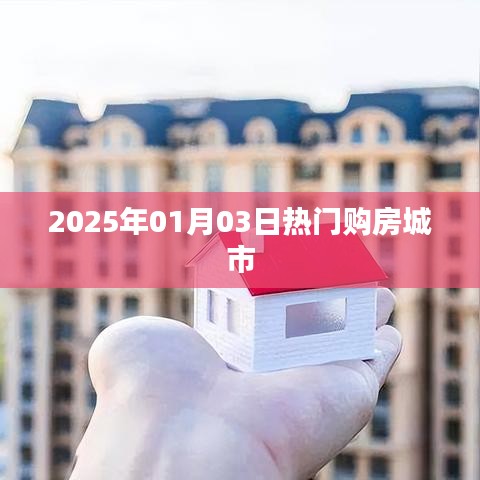 热门购房城市展望，聚焦2025年1月