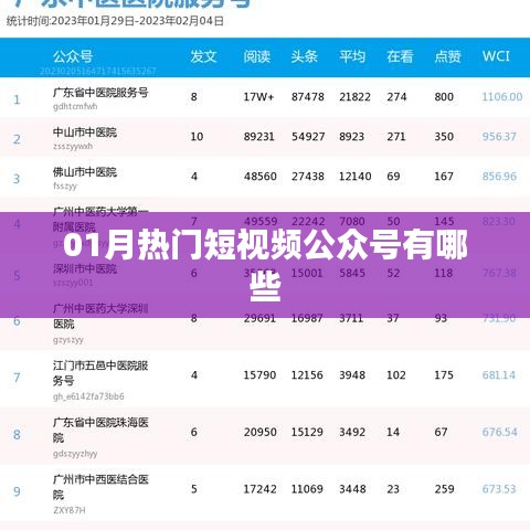 热门短视频公众号大盘点，一探究竟！