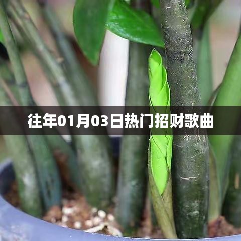 招财金曲盘点，历年元旦热门歌曲回顾
