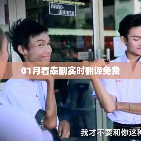 彬彬有礼