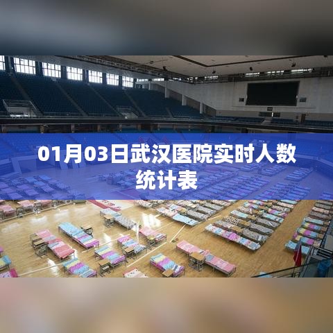 武汉医院实时人数统计表（最新更新）