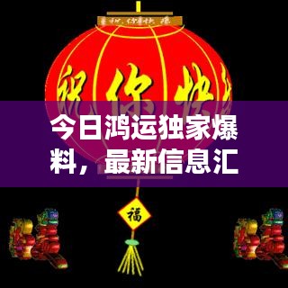 今日鸿运独家爆料，最新信息汇总