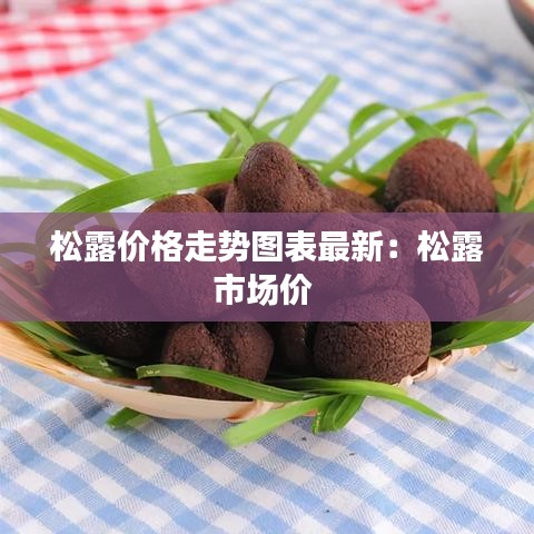 松露价格走势图表最新：松露市场价 
