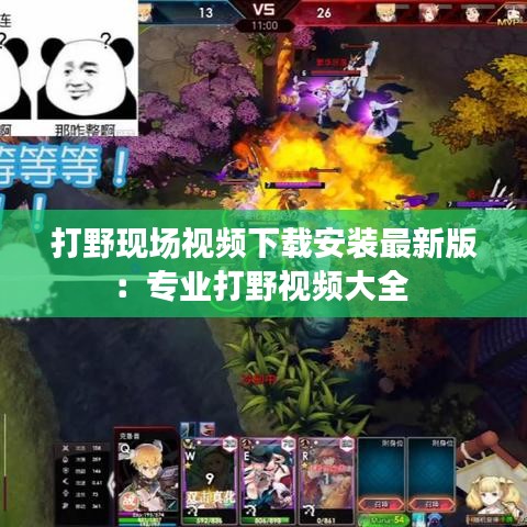 打野现场视频下载安装最新版：专业打野视频大全 