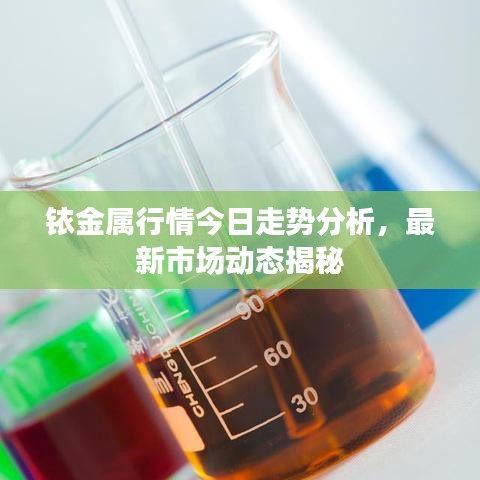 铱金属行情今日走势分析，最新市场动态揭秘