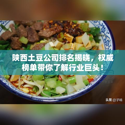 陕西土豆公司排名揭晓，权威榜单带你了解行业巨头！