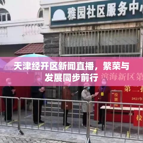 天津经开区新闻直播，繁荣与发展同步前行