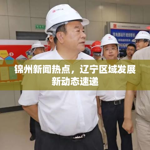锦州新闻热点，辽宁区域发展新动态速递