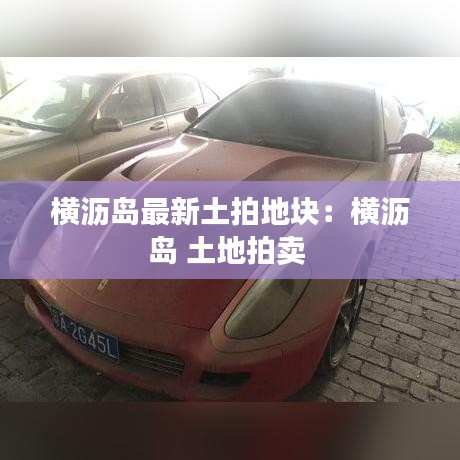 横沥岛最新土拍地块：横沥岛 土地拍卖 