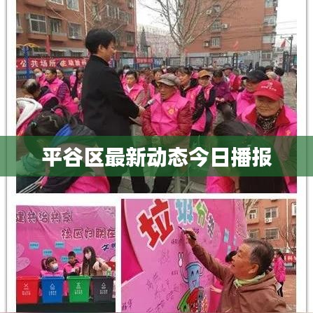 平谷区最新动态今日播报