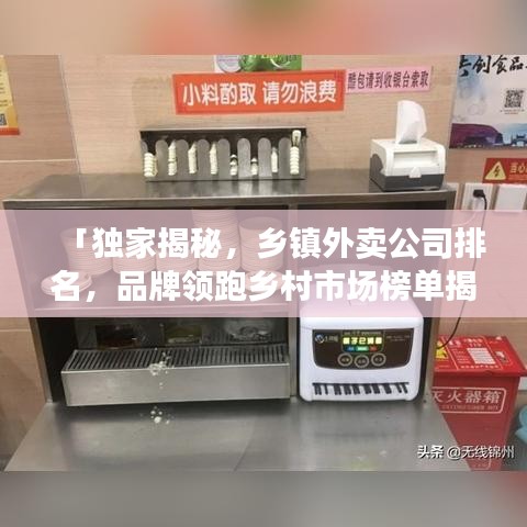 「独家揭秘，乡镇外卖公司排名，品牌领跑乡村市场榜单揭晓！」