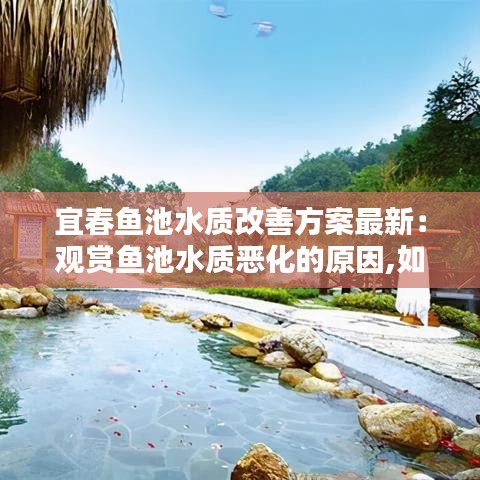 宜春鱼池水质改善方案最新：观赏鱼池水质恶化的原因,如何调节 