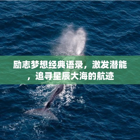 励志梦想经典语录，激发潜能，追寻星辰大海的航迹