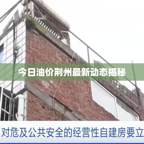 择善而从 第3页