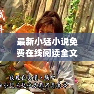 最新小猛小说免费在线阅读全文抢先看