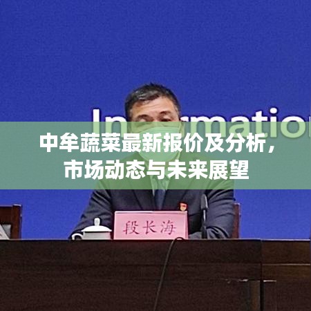 中牟蔬菜最新报价及分析，市场动态与未来展望