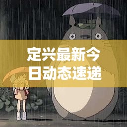 定兴最新今日动态速递