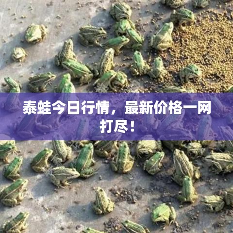 放浪形骸 第3页