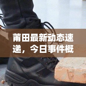 莆田最新动态速递，今日事件概览