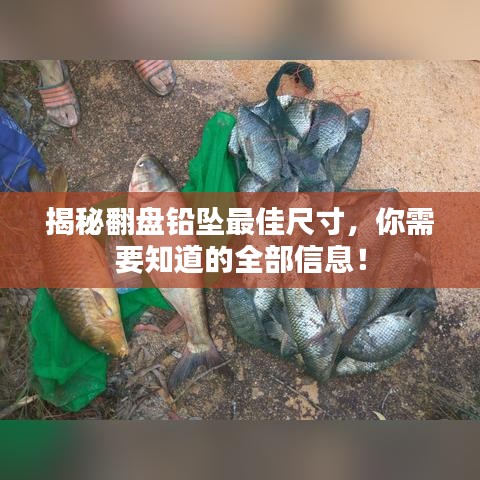 眉目如画 第2页