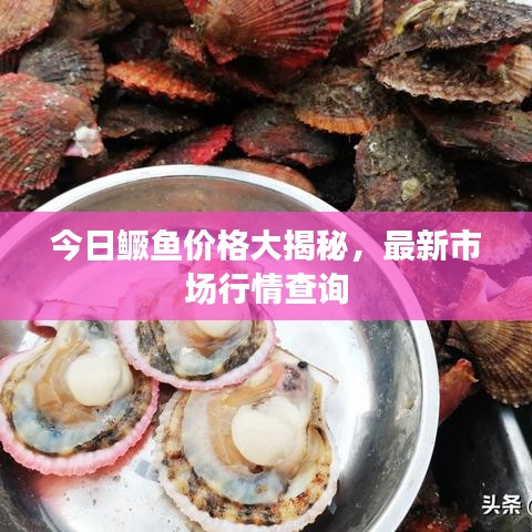今日鳜鱼价格大揭秘，最新市场行情查询