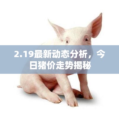 2.19最新动态分析，今日猪价走势揭秘