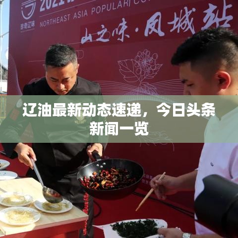 辽油最新动态速递，今日头条新闻一览