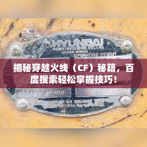 鸟飞兔走 第2页