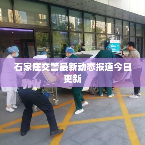 石家庄交警最新动态报道今日更新