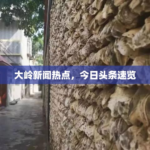 大岭新闻热点，今日头条速览